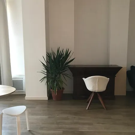 Loft Dans Le Centre Apartmán Lille