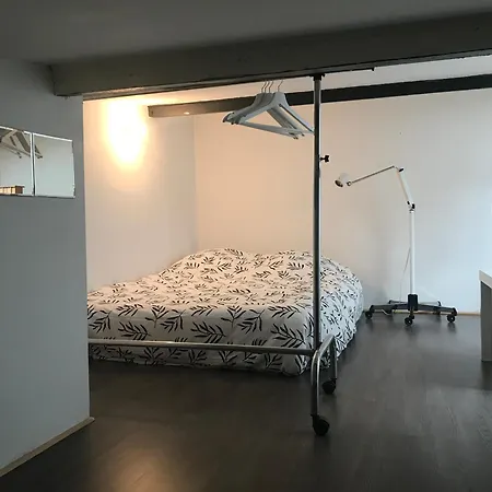 Apartment Loft Dans Le Centre